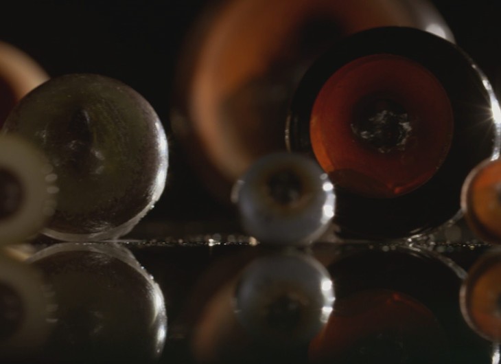 Different eyes as an example of convergent evolution