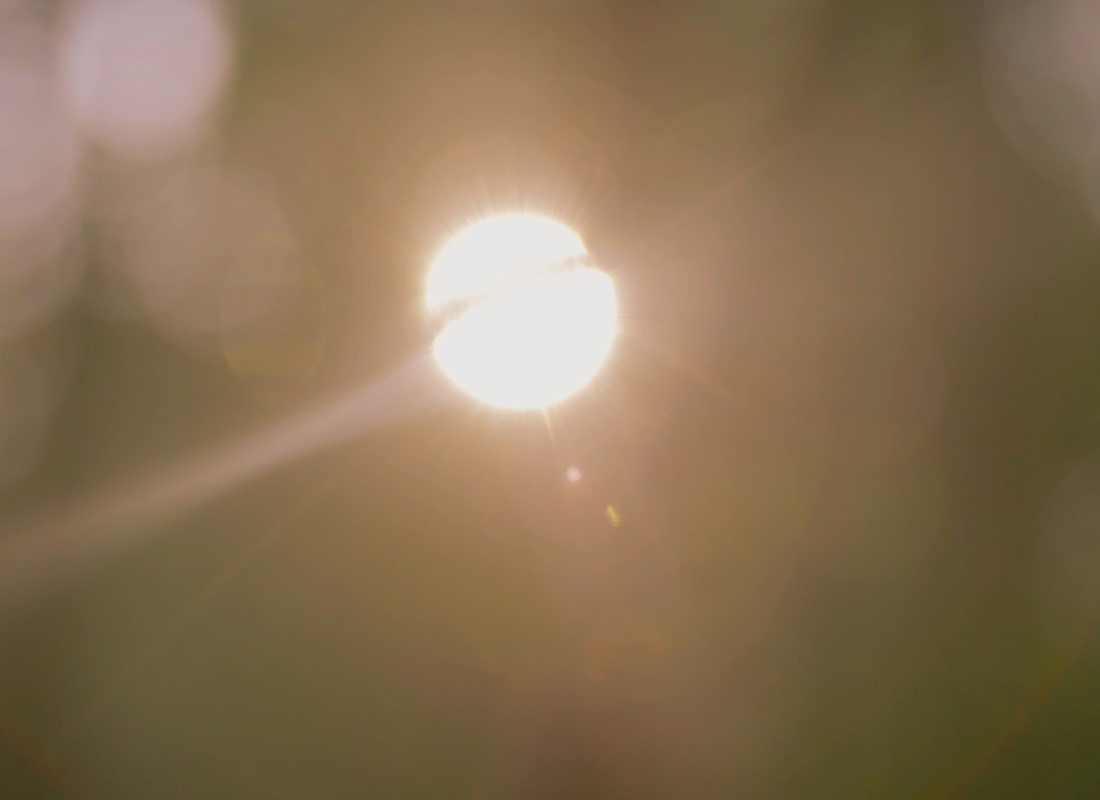 Reductionism in Science | Why are we here?