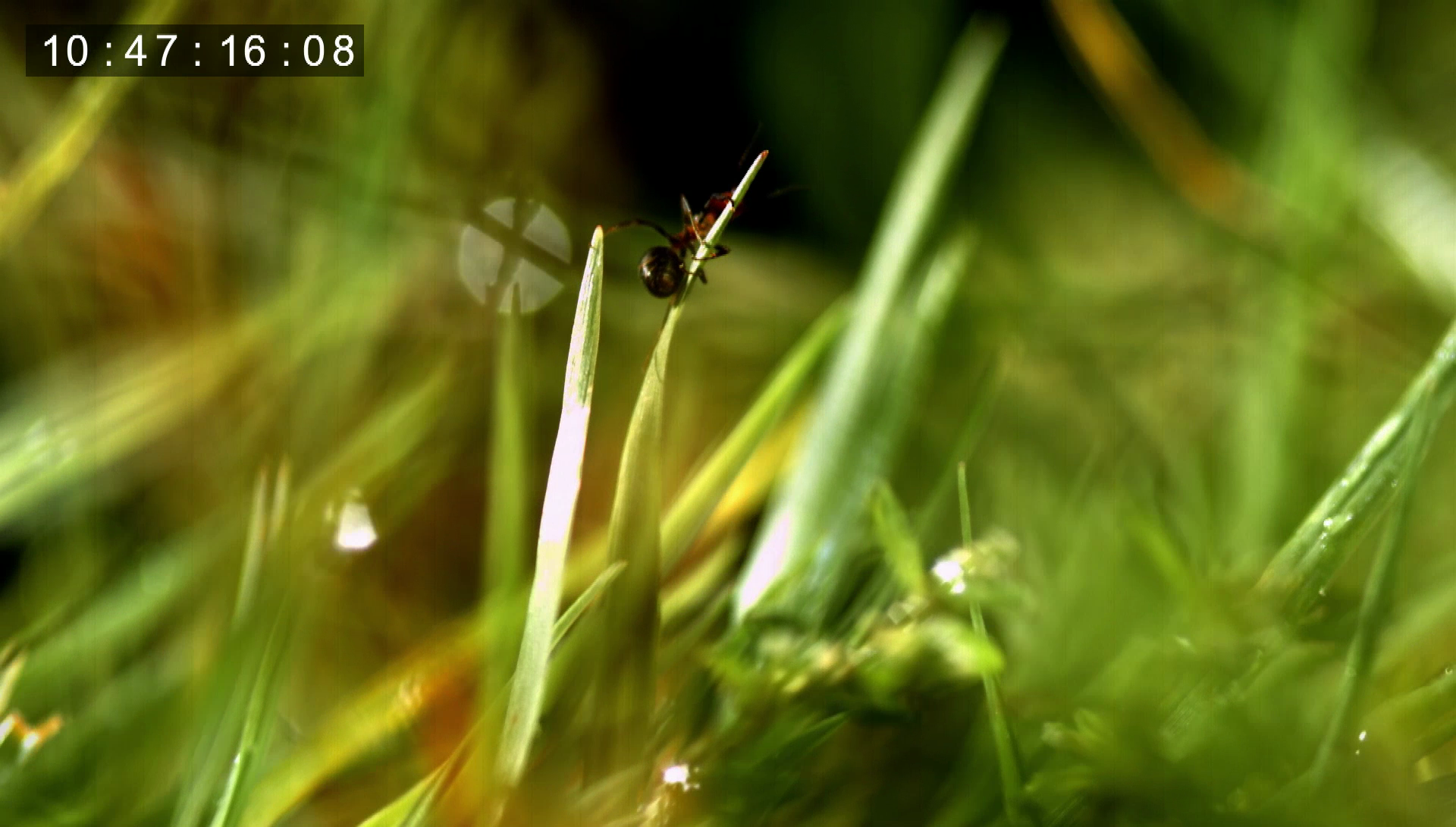 Emergence in science