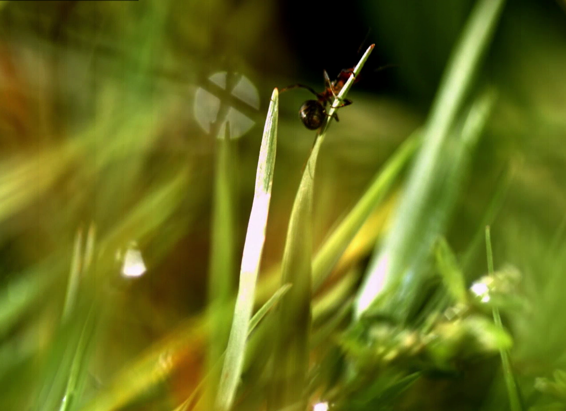 Emergence and Emergent Properties in Science | Why are we here?