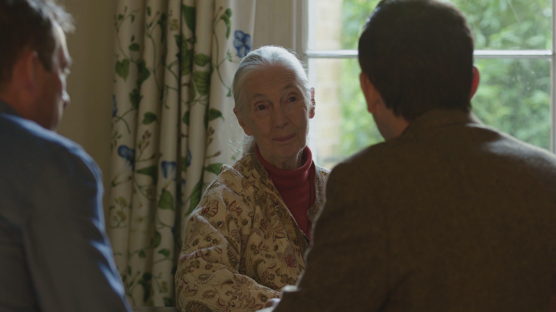 Jane Goodall with Ard Louis and David Malone