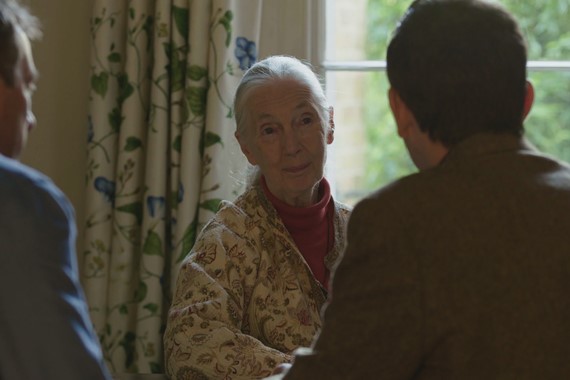 Jane Goodall with Ard Louis and David Malone