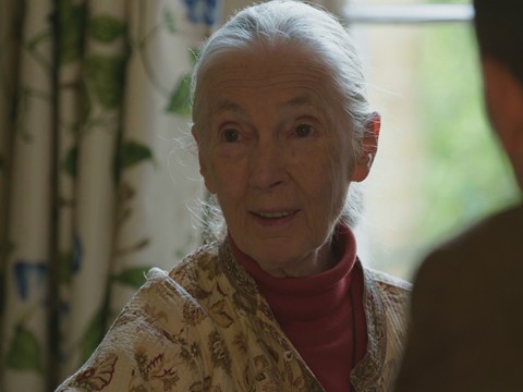 Jane Goodall with Ard Louis