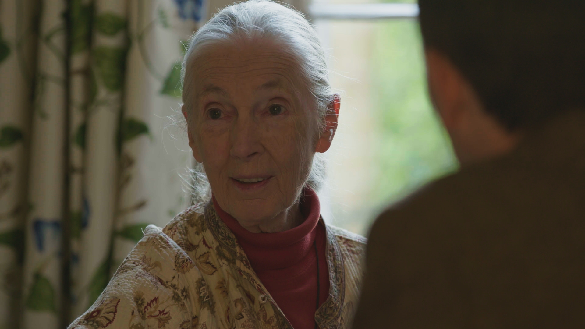 Jane Goodall with Ard Louis