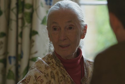 Jane Goodall with Ard Louis