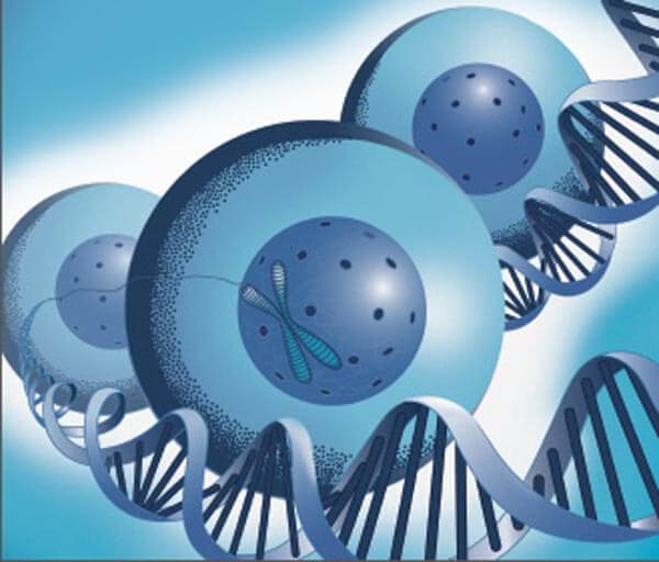 Dance to the Tune of Life  by Denis Noble