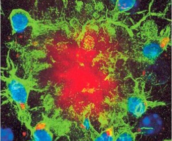 Evolutionary Dynamics: Exploring the Equations of Life by Martin Nowak