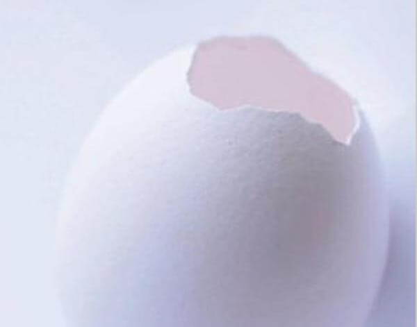 Evolution, Games, and God: The Principle of Cooperation by Martin Nowak