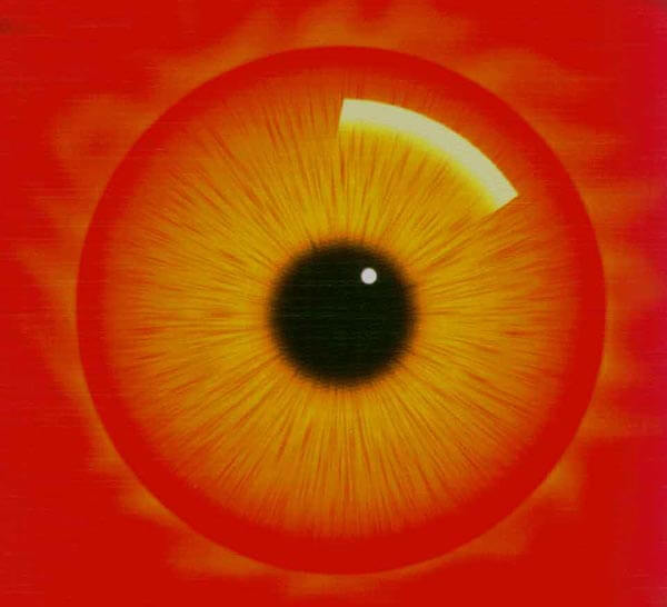 A Vision of the Brain  by Semir Zeki