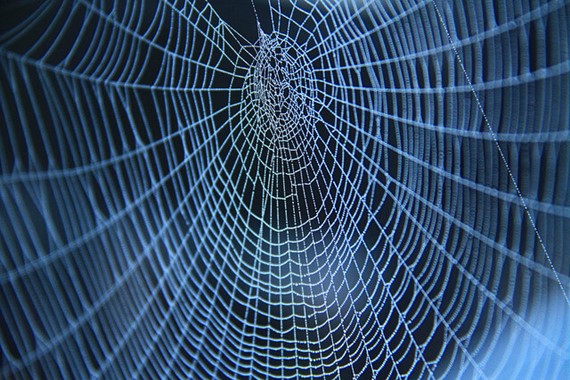 Spiders Web photo by Felix Chen (CC BY 2.0).jpg