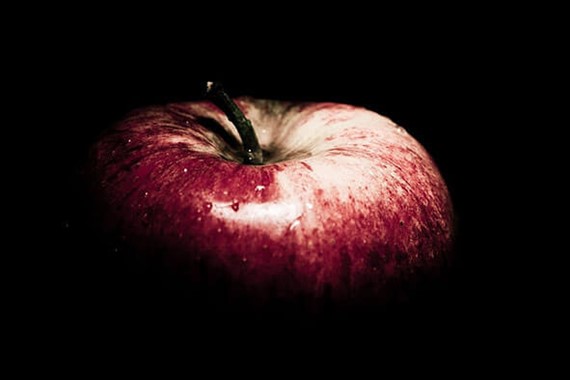 An apple: the fruit of knowledge