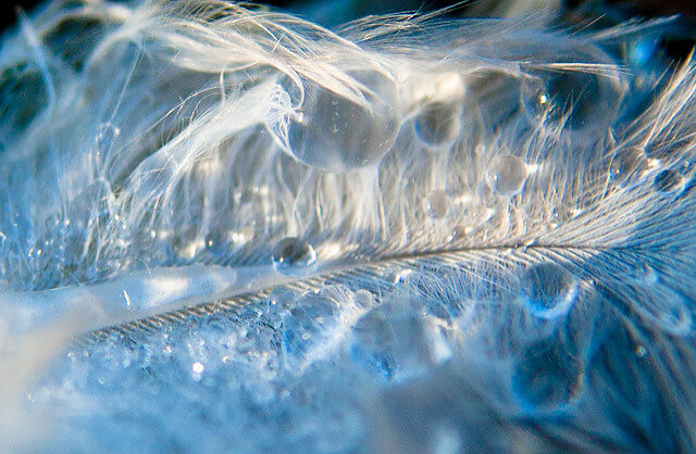 The Re-emergence of Emergence: The Emergentist Hypothesis from Science to Religion edited by Philip Clayton and Paul Davies