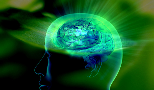 Ideas, downward causation and the mind